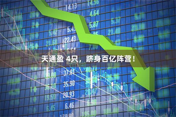 天通盈 4只，跻身百亿阵营！