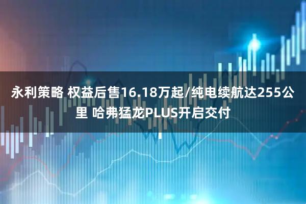 永利策略 权益后售16.18万起/纯电续航达255公里 哈弗猛龙PLUS开启交付