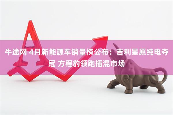 牛途网 4月新能源车销量榜公布：吉利星愿纯电夺冠 方程豹领跑插混市场